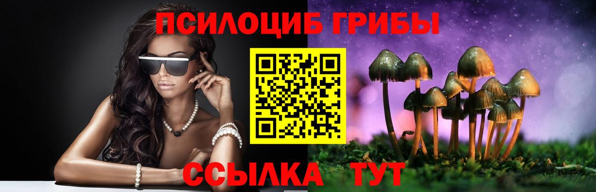 Псилоцибиновые грибы Cubensis Нягань